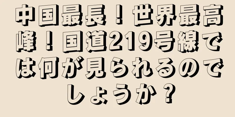 中国最長！世界最高峰！国道219号線では何が見られるのでしょうか？