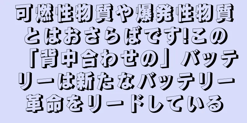 可燃性物質や爆発性物質とはおさらばです!この「背中合わせの」バッテリーは新たなバッテリー革命をリードしている