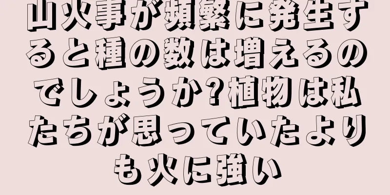 山火事が頻繁に発生すると種の数は増えるのでしょうか?植物は私たちが思っていたよりも火に強い