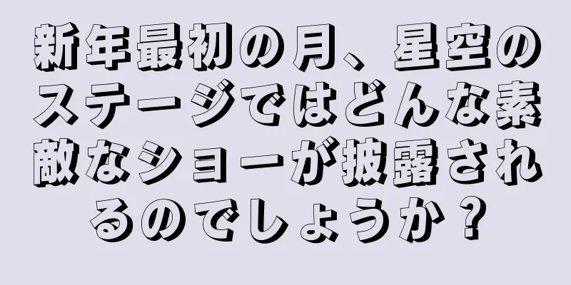 新年最初の月、星空のステージではどんな素敵なショーが披露されるのでしょうか？