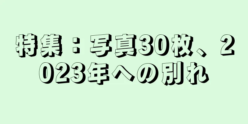特集：写真30枚、2023年への別れ