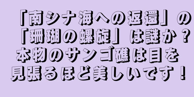 「南シナ海への返還」の「珊瑚の螺旋」は謎か？本物のサンゴ礁は目を見張るほど美しいです！