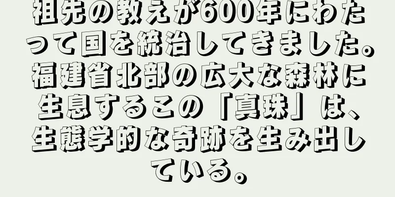 祖先の教えが600年にわたって国を統治してきました。福建省北部の広大な森林に生息するこの「真珠」は、生態学的な奇跡を生み出している。