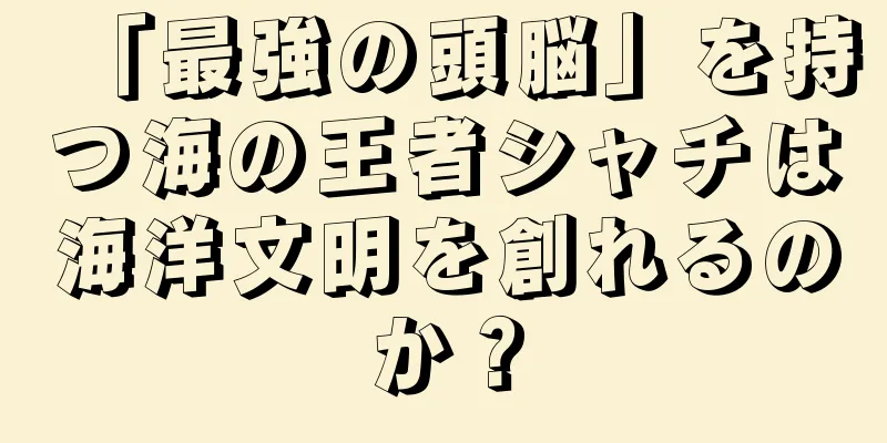 「最強の頭脳」を持つ海の王者シャチは海洋文明を創れるのか？