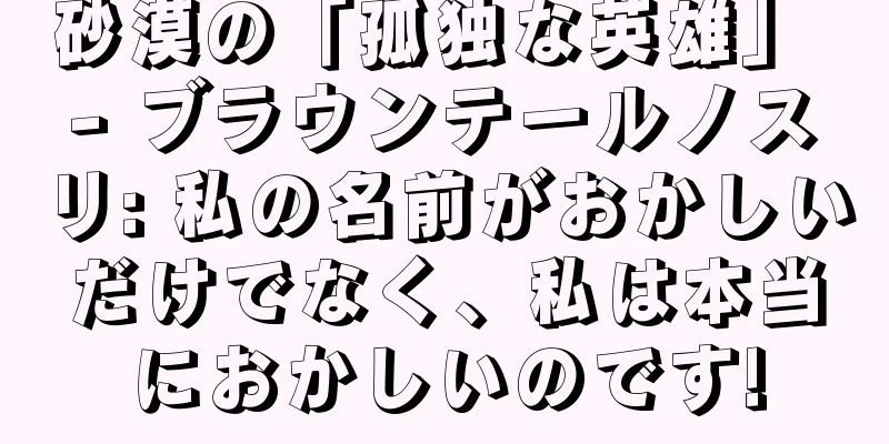 砂漠の「孤独な英雄」 - ブラウンテールノスリ: 私の名前がおかしいだけでなく、私は本当におかしいのです!