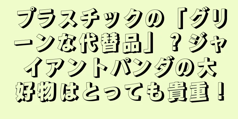 プラスチックの「グリーンな代替品」？ジャイアントパンダの大好物はとっても貴重！