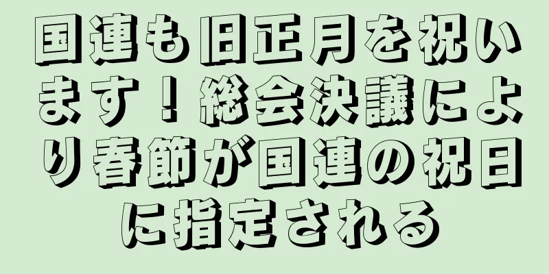 国連も旧正月を祝います！総会決議により春節が国連の祝日に指定される