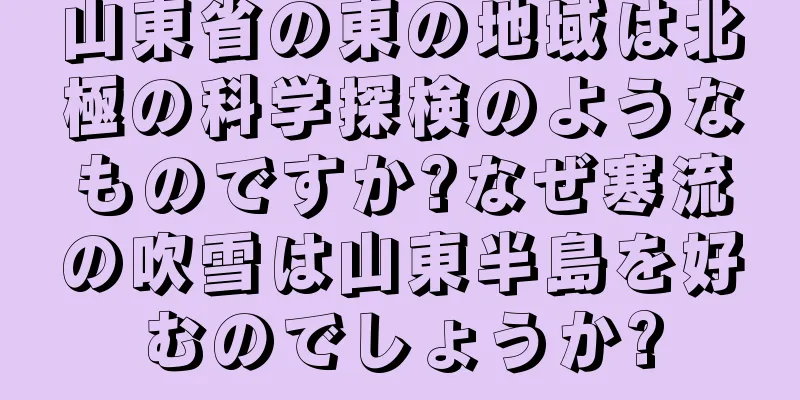 山東省の東の地域は北極の科学探検のようなものですか?なぜ寒流の吹雪は山東半島を好むのでしょうか?