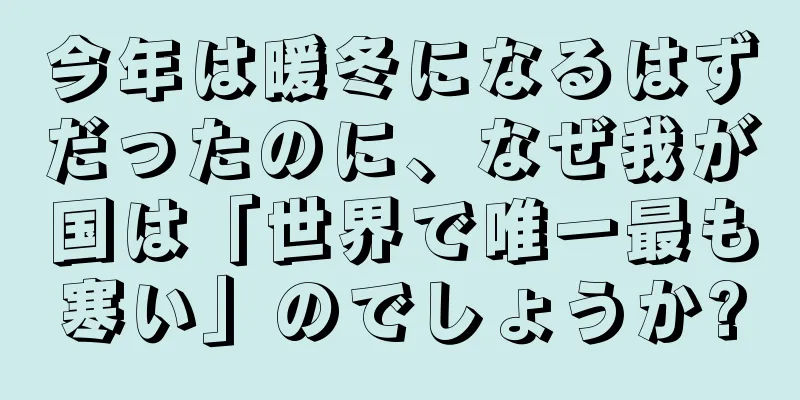 今年は暖冬になるはずだったのに、なぜ我が国は「世界で唯一最も寒い」のでしょうか?