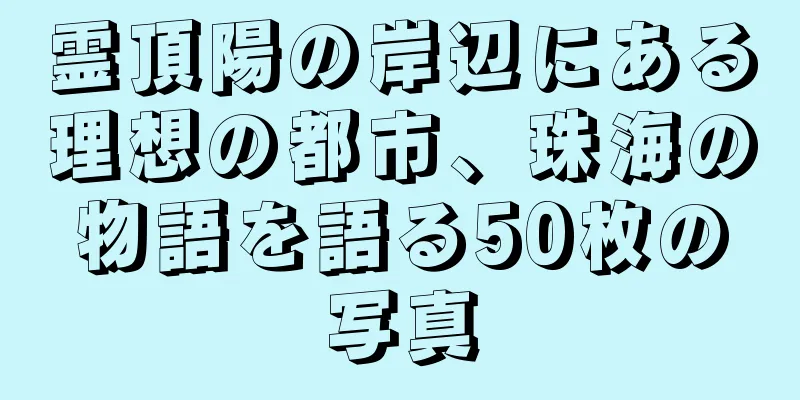 霊頂陽の岸辺にある理想の都市、珠海の物語を語る50枚の写真