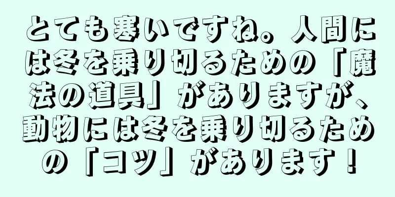 とても寒いですね。人間には冬を乗り切るための「魔法の道具」がありますが、動物には冬を乗り切るための「コツ」があります！