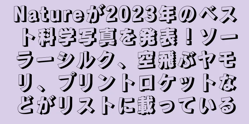 Natureが2023年のベスト科学写真を発表！ソーラーシルク、空飛ぶヤモリ、プリントロケットなどがリストに載っている