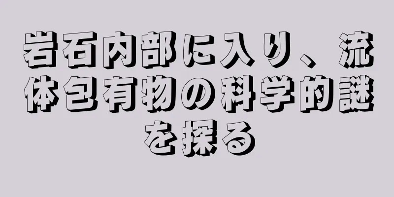 岩石内部に入り、流体包有物の科学的謎を探る