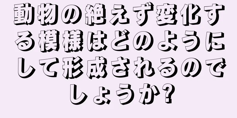 動物の絶えず変化する模様はどのようにして形成されるのでしょうか?