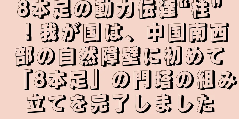 8本足の動力伝達“柱”！我が国は、中国南西部の自然障壁に初めて「8本足」の門塔の組み立てを完了しました