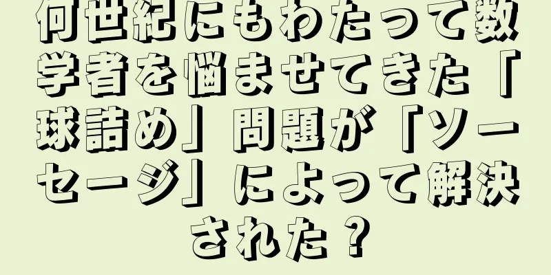 何世紀にもわたって数学者を悩ませてきた「球詰め」問題が「ソーセージ」によって解決された？