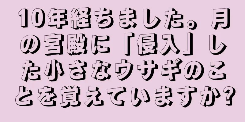10年経ちました。月の宮殿に「侵入」した小さなウサギのことを覚えていますか?