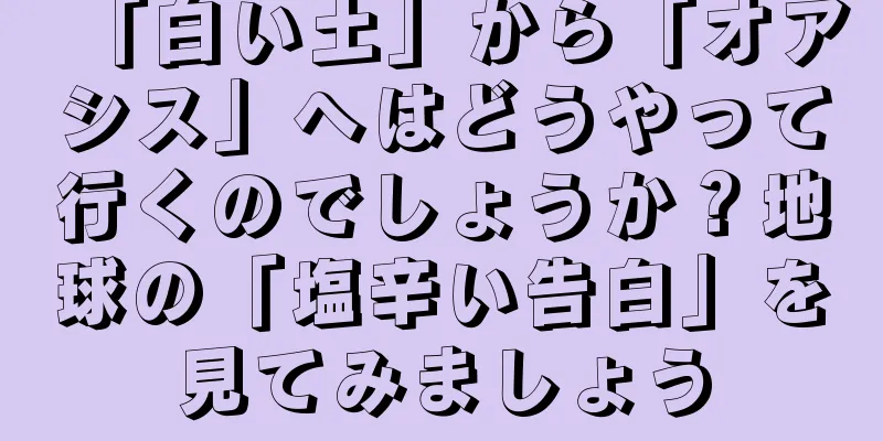 「白い土」から「オアシス」へはどうやって行くのでしょうか？地球の「塩辛い告白」を見てみましょう