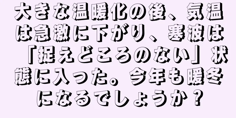 大きな温暖化の後、気温は急激に下がり、寒波は「捉えどころのない」状態に入った。今年も暖冬になるでしょうか？