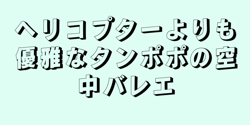 ヘリコプターよりも優雅なタンポポの空中バレエ