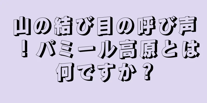 山の結び目の呼び声！パミール高原とは何ですか？
