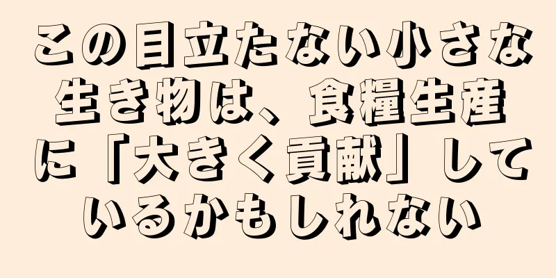 この目立たない小さな生き物は、食糧生産に「大きく貢献」しているかもしれない