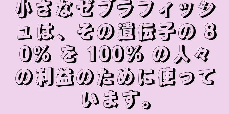 小さなゼブラフィッシュは、その遺伝子の 80% を 100% の人々の利益のために使っています。