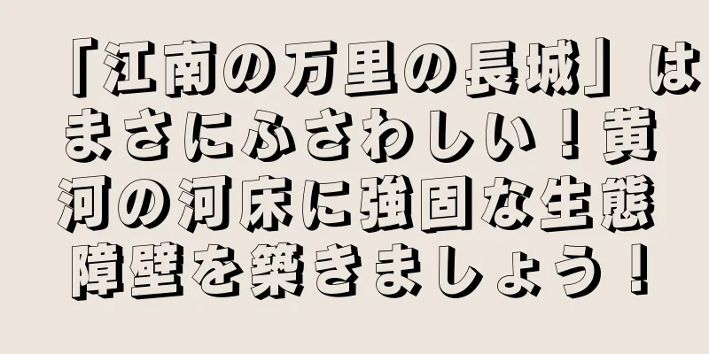 「江南の万里の長城」はまさにふさわしい！黄河の河床に強固な生態障壁を築きましょう！