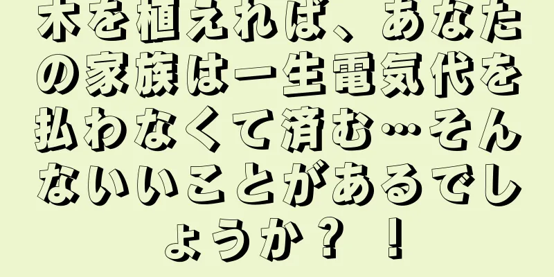 木を植えれば、あなたの家族は一生電気代を払わなくて済む…そんないいことがあるでしょうか？ ！