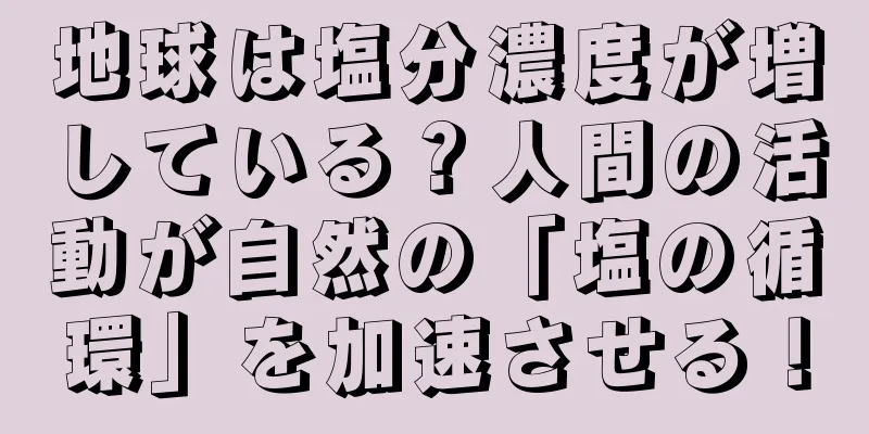 地球は塩分濃度が増している？人間の活動が自然の「塩の循環」を加速させる！