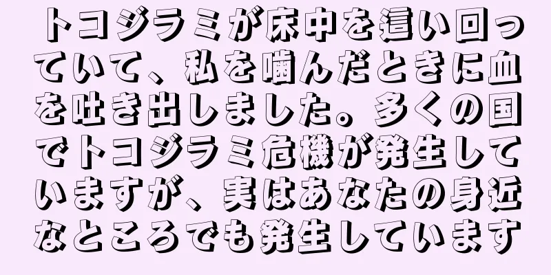 トコジラミが床中を這い回っていて、私を噛んだときに血を吐き出しました。多くの国でトコジラミ危機が発生していますが、実はあなたの身近なところでも発生しています
