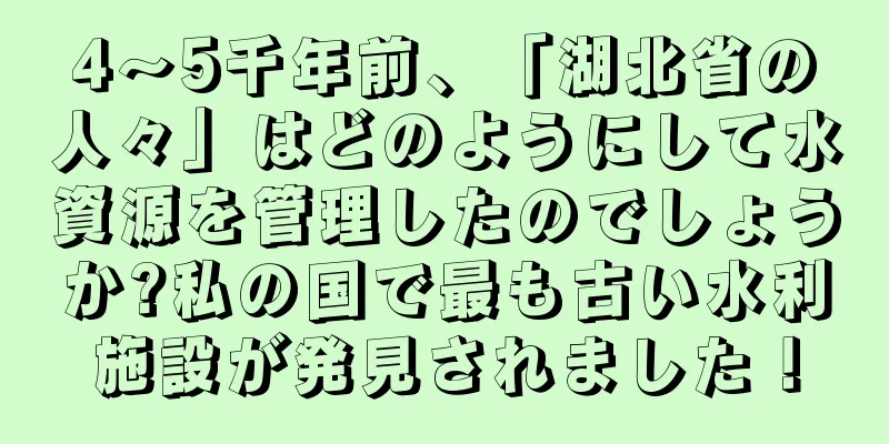 4〜5千年前、「湖北省の人々」はどのようにして水資源を管理したのでしょうか?私の国で最も古い水利施設が発見されました！