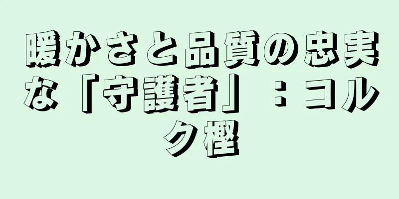 暖かさと品質の忠実な「守護者」：コルク樫