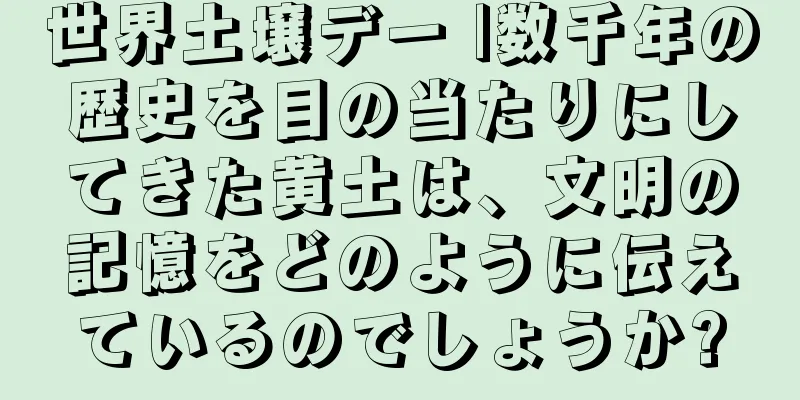 世界土壌デー |数千年の歴史を目の当たりにしてきた黄土は、文明の記憶をどのように伝えているのでしょうか?