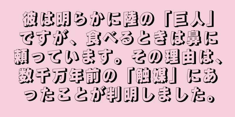 彼は明らかに陸の「巨人」ですが、食べるときは鼻に頼っています。その理由は、数千万年前の「触媒」にあったことが判明しました。