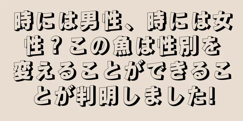 時には男性、時には女性？この魚は性別を変えることができることが判明しました!