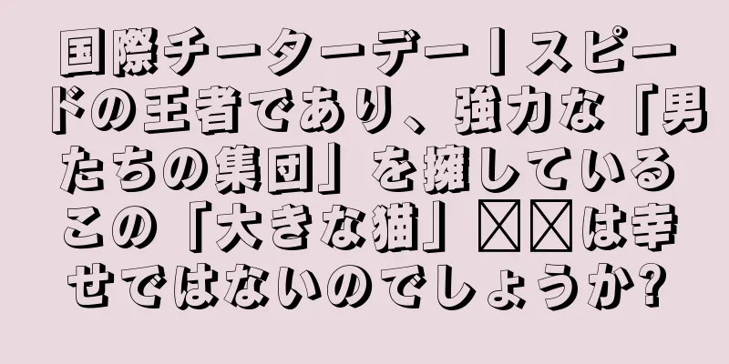 国際チーターデー丨スピードの王者であり、強力な「男たちの集団」を擁しているこの「大きな猫」​​は幸せではないのでしょうか?