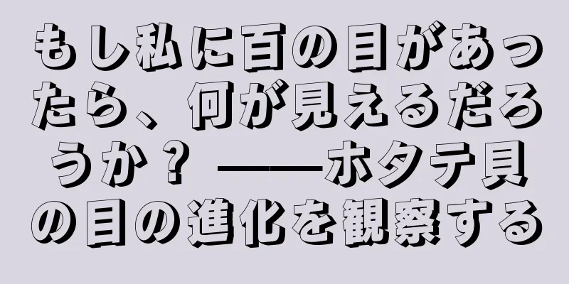 もし私に百の目があったら、何が見えるだろうか？ ——ホタテ貝の目の進化を観察する