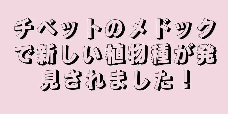 チベットのメドックで新しい植物種が発見されました！