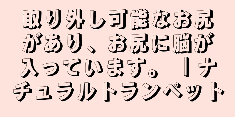 取り外し可能なお尻があり、お尻に脳が入っています。 ｜ナチュラルトランペット