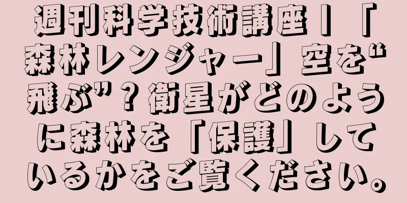 週刊科学技術講座丨「森林レンジャー」空を“飛ぶ”？衛星がどのように森林を「保護」しているかをご覧ください。