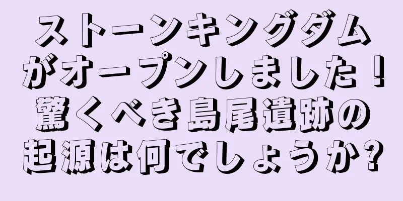 ストーンキングダムがオープンしました！驚くべき島尾遺跡の起源は何でしょうか?