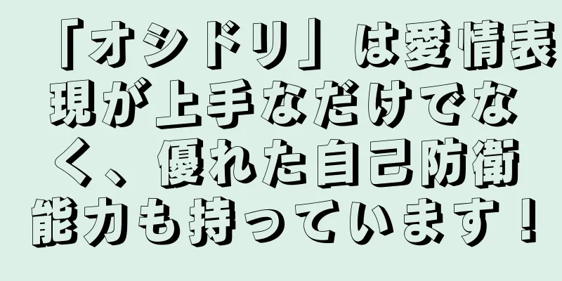 「オシドリ」は愛情表現が上手なだけでなく、優れた自己防衛能力も持っています！