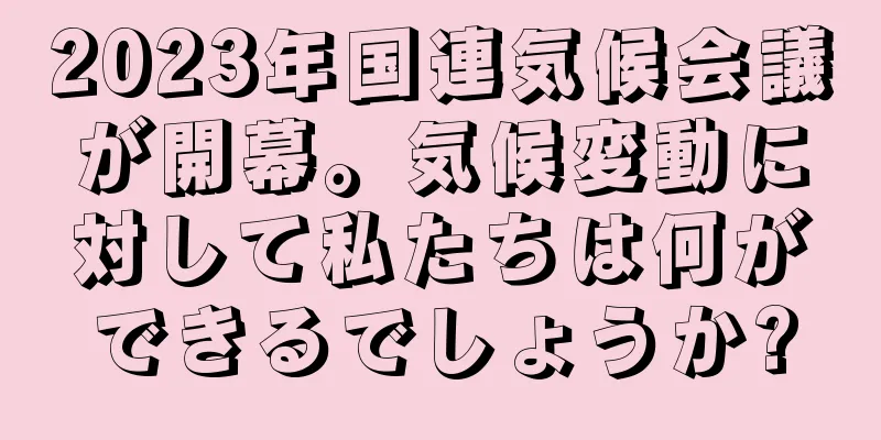 2023年国連気候会議が開幕。気候変動に対して私たちは何ができるでしょうか?