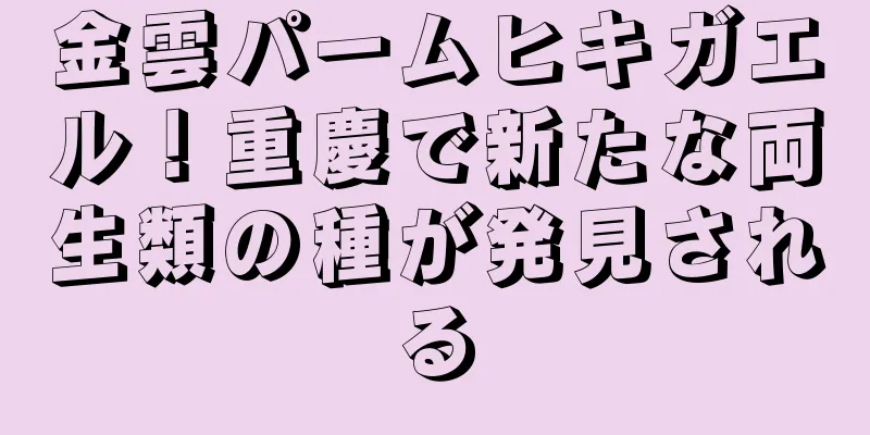 金雲パームヒキガエル！重慶で新たな両生類の種が発見される
