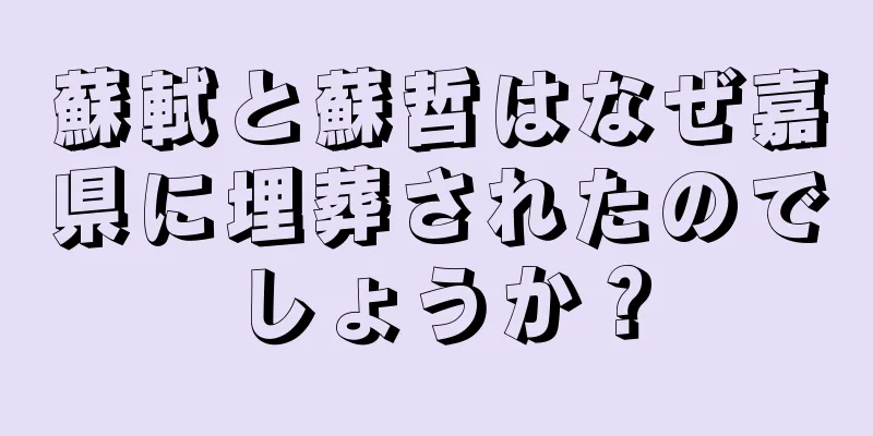 蘇軾と蘇哲はなぜ嘉県に埋葬されたのでしょうか？