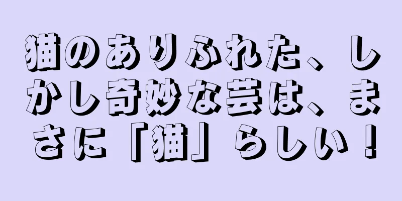 猫のありふれた、しかし奇妙な芸は、まさに「猫」らしい！