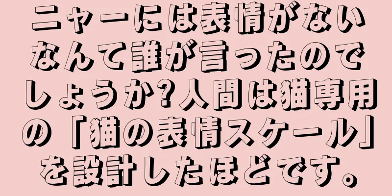 ニャーには表情がないなんて誰が言ったのでしょうか?人間は猫専用の「猫の表情スケール」を設計したほどです。