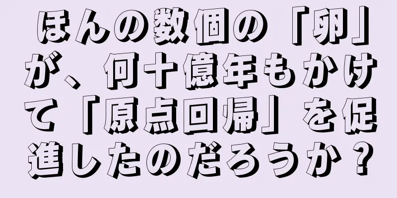 ほんの数個の「卵」が、何十億年もかけて「原点回帰」を促進したのだろうか？