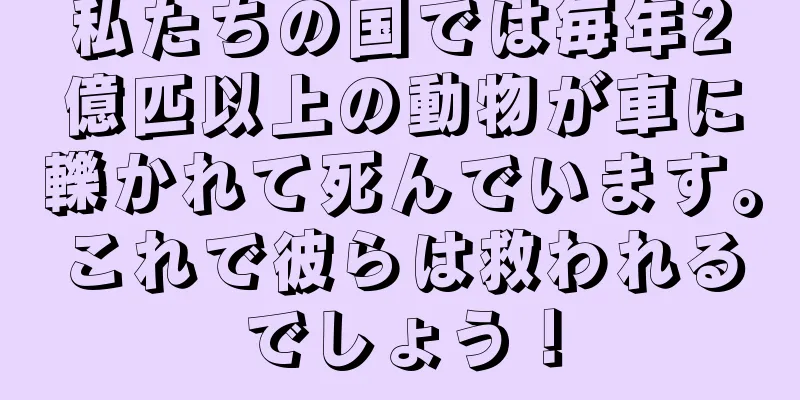 私たちの国では毎年2億匹以上の動物が車に轢かれて死んでいます。これで彼らは救われるでしょう！